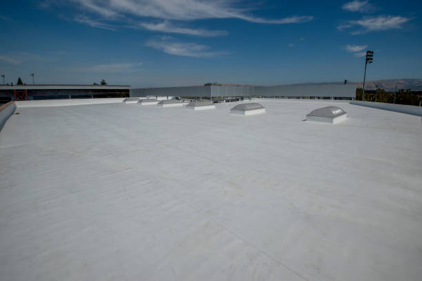 Best Chimney Flashing Repair  in Oak View, CA