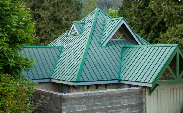 Best Roof Moss and Algae Removal  in Oak View, CA