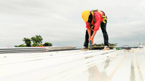 Best Gutter Installation and Repair  in Oak View, CA