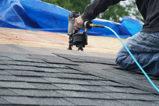 Best Roof Moss and Algae Removal  in Oak View, CA