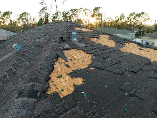 Best Emergency Roof Repair Services  in Oak View, CA