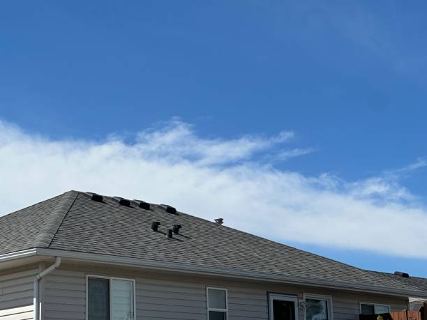Best Sheet Metal Roofing  in Oak View, CA